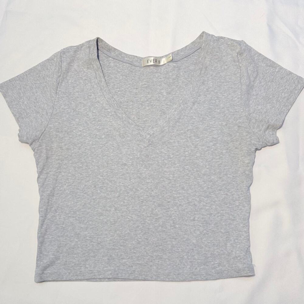 Gray ever b cropped v neck fitted top